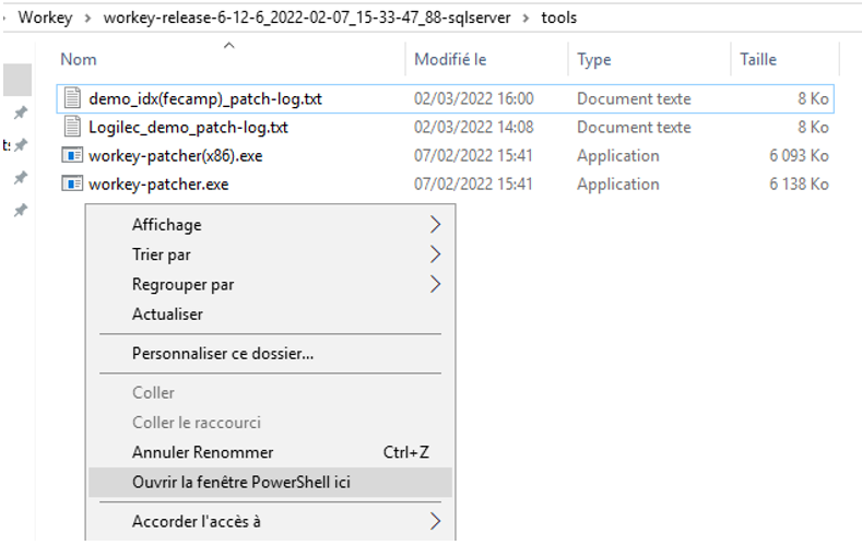 lancer_workey_patch86